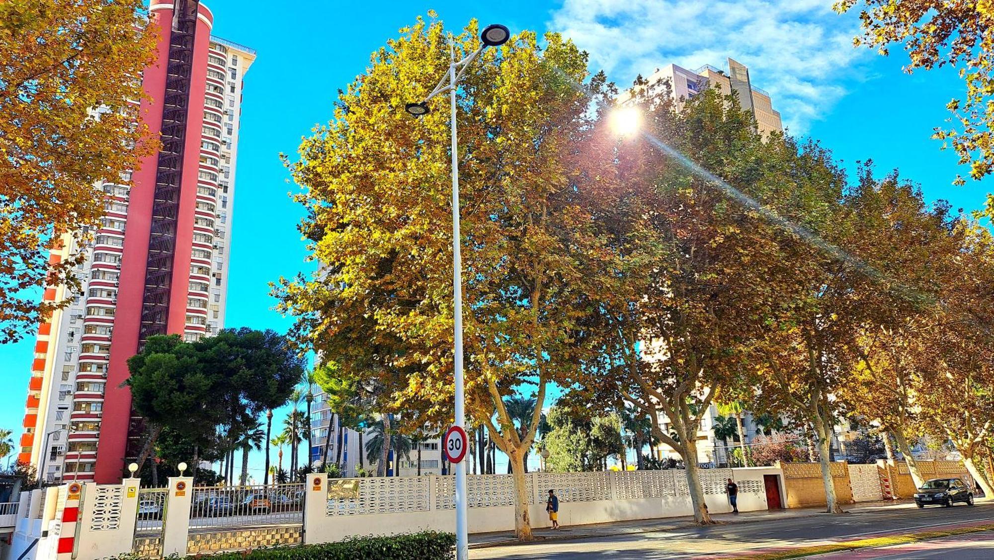 Las Damas - 23 B, Primera Linea, Playa Levante بينايدورم المظهر الخارجي الصورة